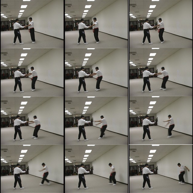 Pre Heaven Power One Hand Fajin Fajing Sequence Chinese Taoist